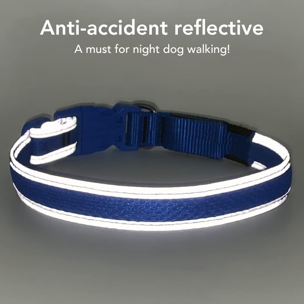 Light up Dog Collar - Rechargeable LED, Reflective, Glowing Camping Gear, Adjustable Dog Lights for Night Walking (Medium, Royal Blue)