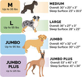 Orthopedic Dog Bed for Large/Medium Dogs W/ Removable Bolsters & Washable Cover, for Dogs up to 55 Lbs - Plush & Suede Sofa - Almondine, Large