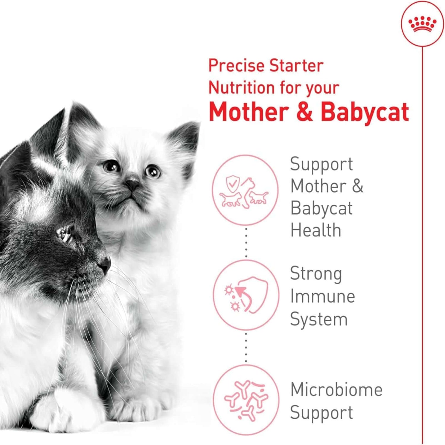 royal-canin-mother-babycat-dry-cat-food
