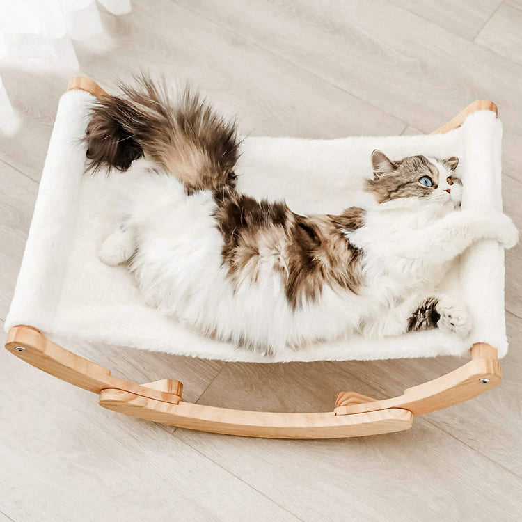 New Moon Cat Hammock – Elevated Indoor Cat Swing Chair, White, Pet Furniture for Cats & Small Dogs