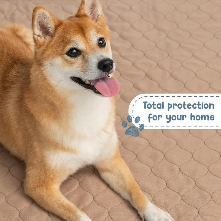 Reusable Dog Pee Pads - Waterproof Training Pads for Dogs - Washable & Sanitary - Rounded Corners - Laminated, Lightweight, Durable - Pet Essentials for Puppy Training and Whelping - 48" X 60"