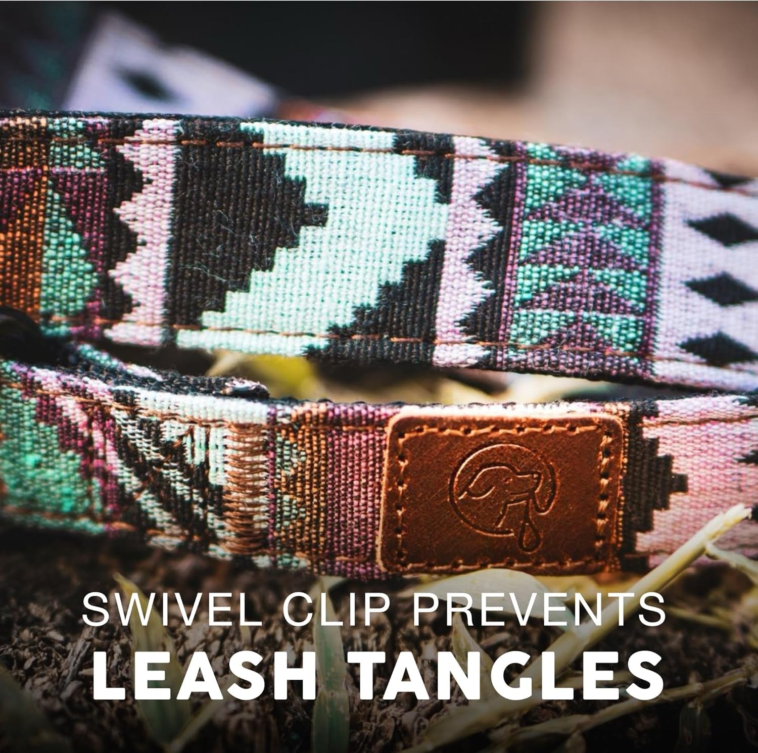 Embark Adventure Dog Leashes - Colorful, Strong and Sturdy Dog Leash for Small, Medium and Large Breed Dogs (Aztec, 4 Ft)