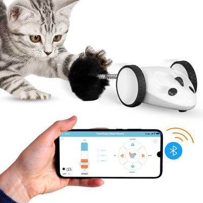 Interactive Smart Mouse Cat Toy by Purechase – Adjustable Speed, Flip Modes, USB Rechargeable