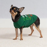 Naughty or Nice Christmas Dog Shirt, Dog Christmas Outfit for Small Dogs Boy Girl, Funny Doggy Tshirt, Pet Outfit, Green, Red, White, Medium