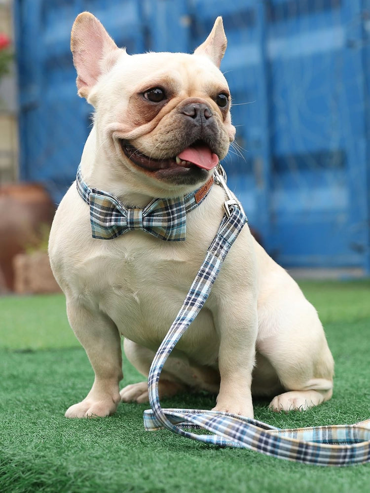 Dog and Cat Collar with Bowtie Grid Collar Plastic Buckle Light Adjustable Collars for Small Medium Large Dogs