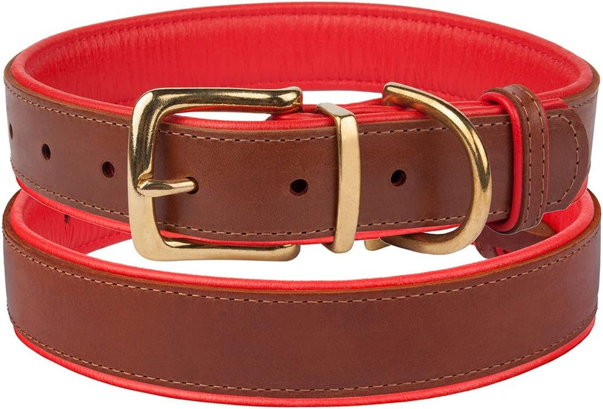 Leather Dog Collar Brass Buckle Soft Padded Puppy Small Medium Large Red Pink Blue Green Purple Yellow (Neck Fit 12"-14", Red)