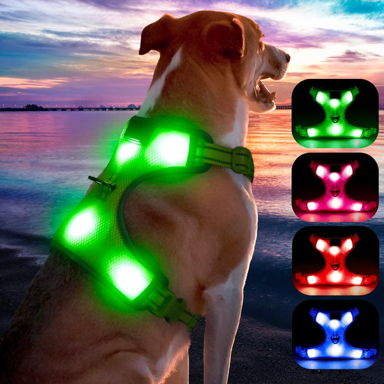 Light up Dog Harness - USB Rechargeable LED Dog Harness with Reflective Strips, Comfortable Adjustable Sizes (Green, Medium)