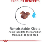 Feline Health Nutrition Mother & Babycat Queen Dry Cat Food, 6 Lb Bag