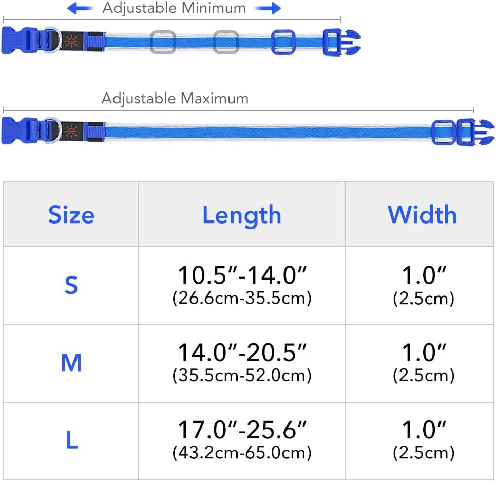 Light up Dog Collar - Rechargeable LED, Reflective, Glowing Camping Gear, Adjustable Dog Lights for Night Walking (Medium, Royal Blue)