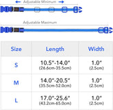 Light up Dog Collar - Rechargeable LED, Reflective, Glowing Camping Gear, Adjustable Dog Lights for Night Walking (Medium, Royal Blue)