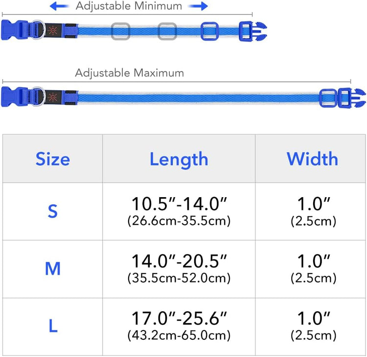 Light up Dog Collar - Rechargeable LED, Reflective, Glowing Camping Gear, Adjustable Dog Lights for Night Walking (Medium, Royal Blue)