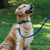 Rolled Leather Dog Collar, Soft Padded round Puppy Collar, Handmade Genuine Leather Collar Dog Small Large Cat Collars 13 Colors (13-16 Inch, Deep Blue Textured)