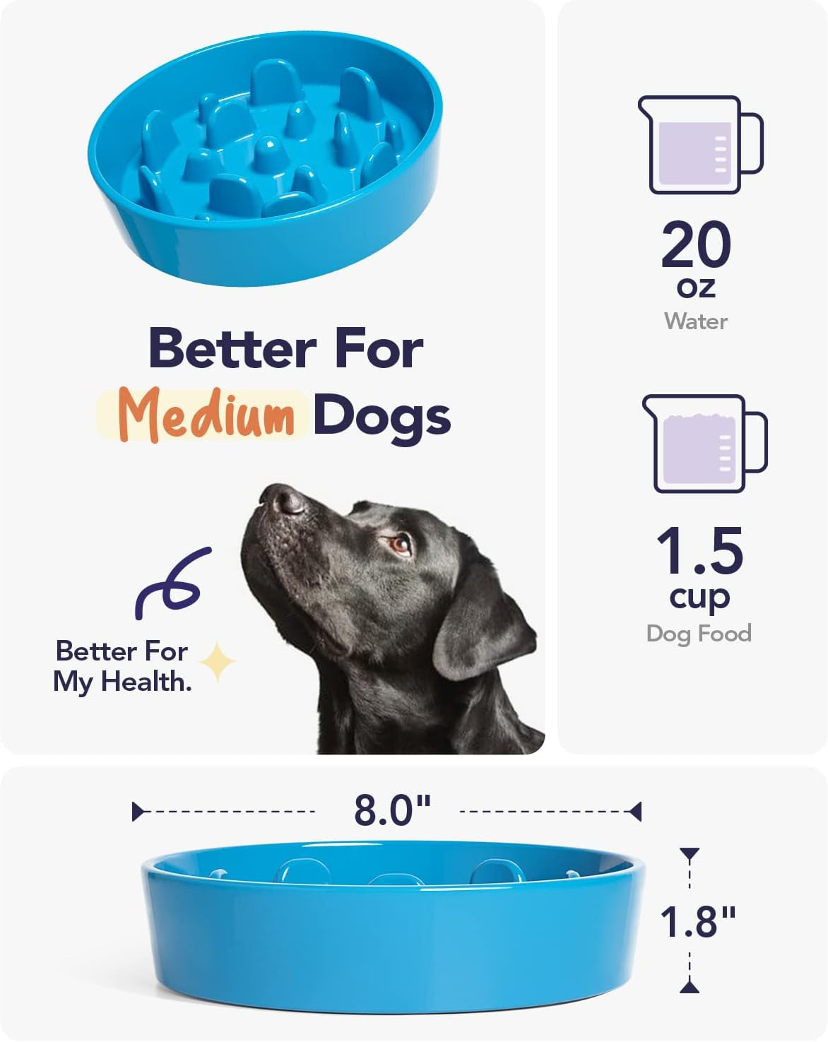 Ceramic Slow Feeder Dog Bowl – 1.5 Cup, Puzzle Design (Vortex Blue)