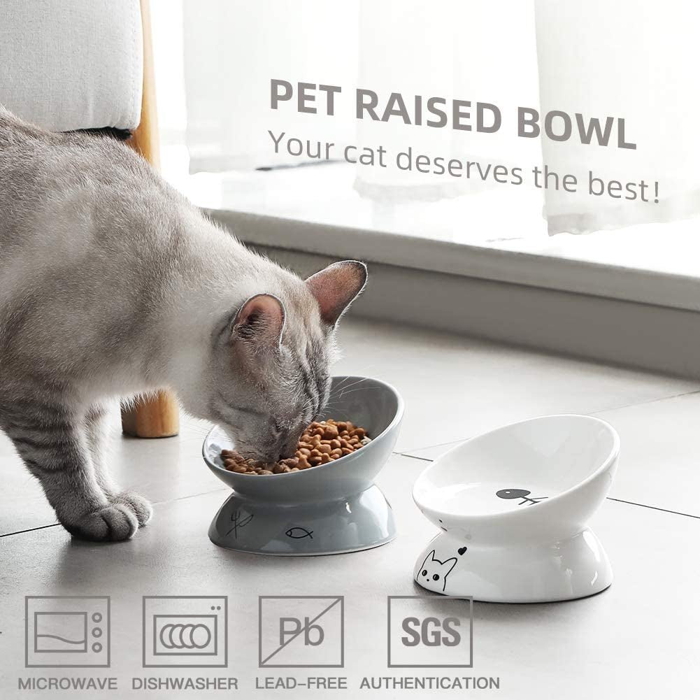 Ceramic Raised Cat Bowls, Slanted Cat Dish Food or Water Bowls, Elevated Porcelain Pet Feeder Bowl Protect Cat&