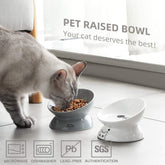 Ceramic Raised Cat Bowls, Slanted Cat Dish Food or Water Bowls, Elevated Porcelain Pet Feeder Bowl Protect Cat&