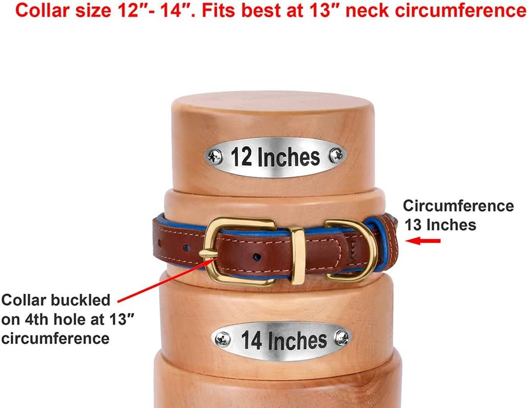 Leather Dog Collar Brass Buckle Soft Padded Puppy Small Medium Large Red Pink Blue Green Purple Yellow (Neck Fit 12"-14", Red)