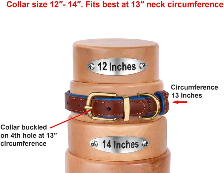 Leather Dog Collar Brass Buckle Soft Padded Puppy Small Medium Large Red Pink Blue Green Purple Yellow (Neck Fit 12"-14", Red)