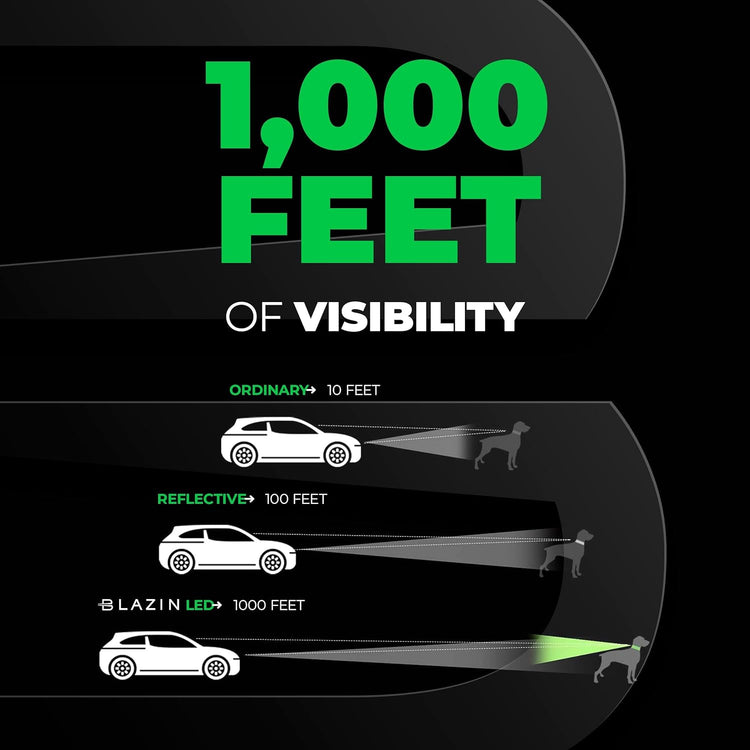 LED Light-Up Dog Leash – USB Rechargeable, 4ft Blue