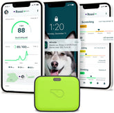 Go Explore/The Ultimate Health + GPS Location Tracker for Pets/Green (100-04202-00)