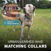 Embark Adventure Dog Leashes - Colorful, Strong and Sturdy Dog Leash for Small, Medium and Large Breed Dogs (Aztec, 4 Ft)