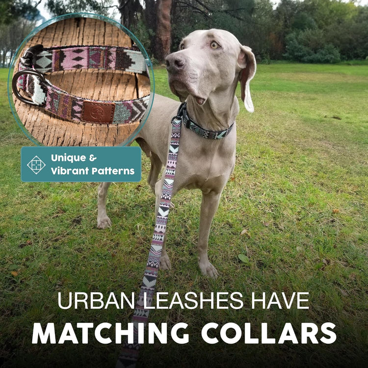 Embark Adventure Dog Leashes - Colorful, Strong and Sturdy Dog Leash for Small, Medium and Large Breed Dogs (Aztec, 4 Ft)