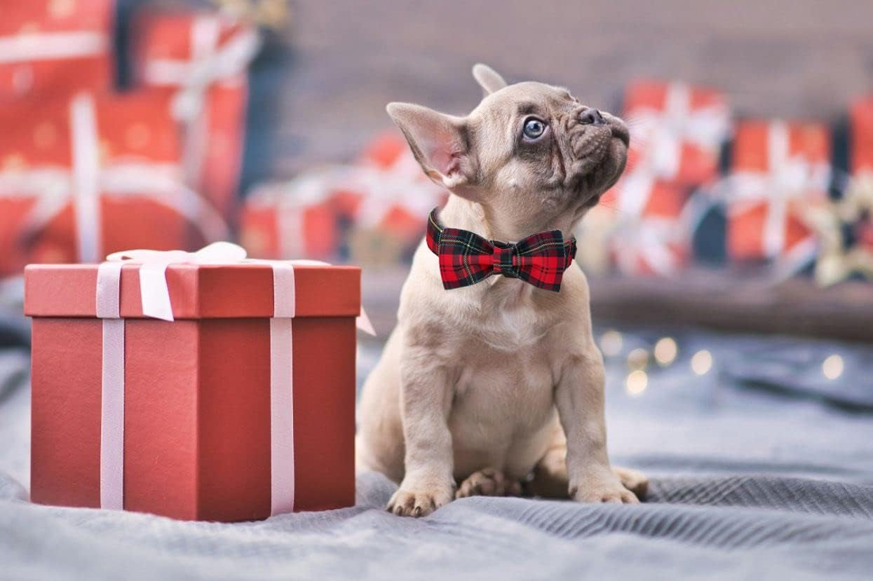 Christmas Dog Collar with Bowtie, Dog Bowtie Collar with Metal Buckle for Dogs, Adjustable Comfortable Dog Collar Girl Boy Gift, XL, Neck 16-26 In