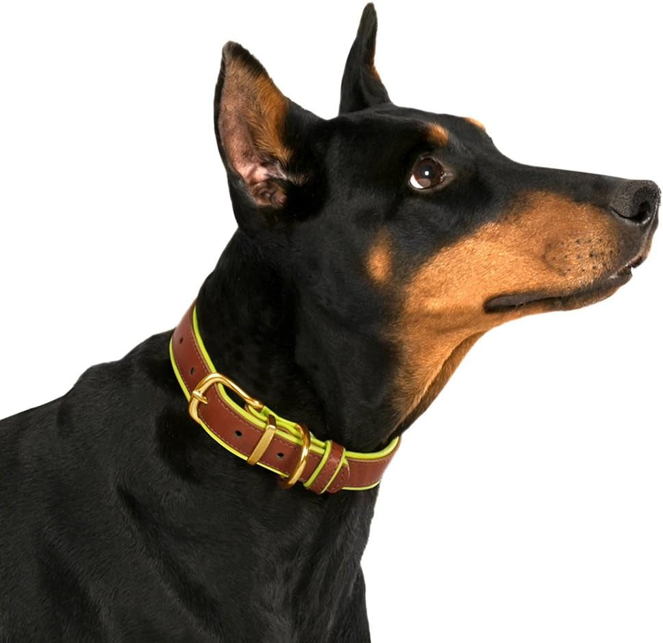 Leather Dog Collar Brass Buckle Soft Padded Puppy Small Medium Large Red Pink Blue Green Purple Yellow (Neck Fit 12"-14", Red)