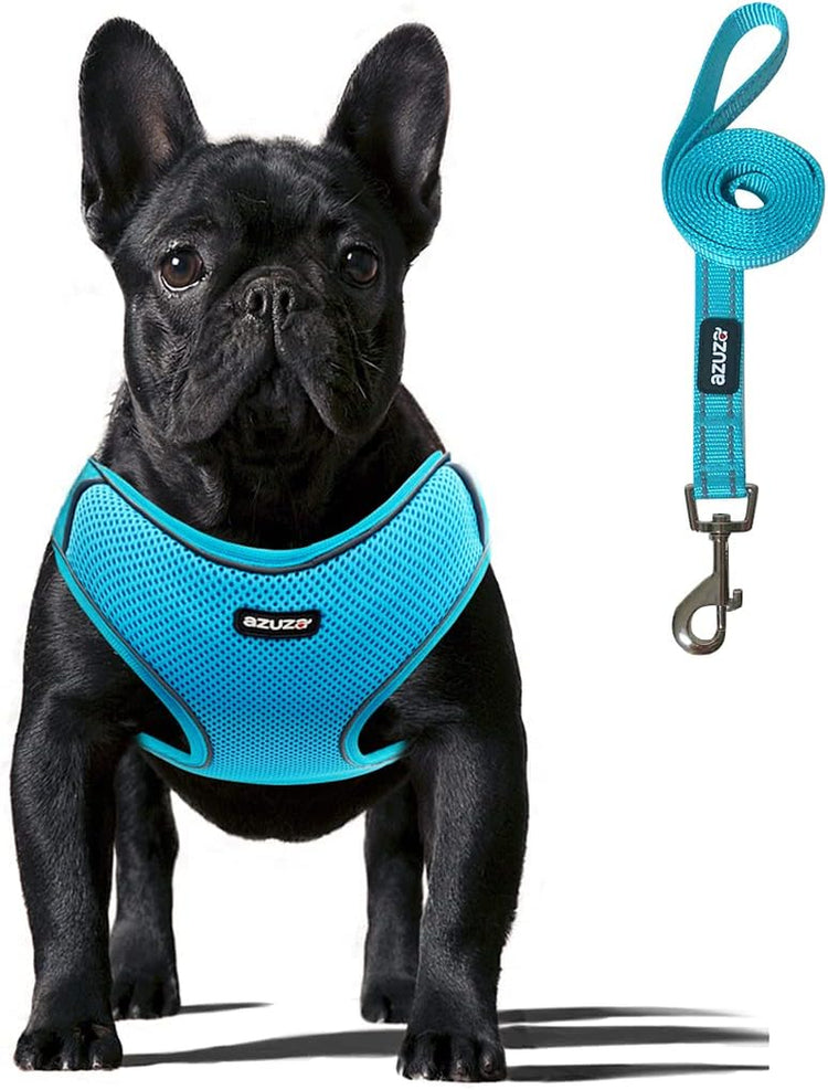 Pet Collars, Harnesses & Accessories